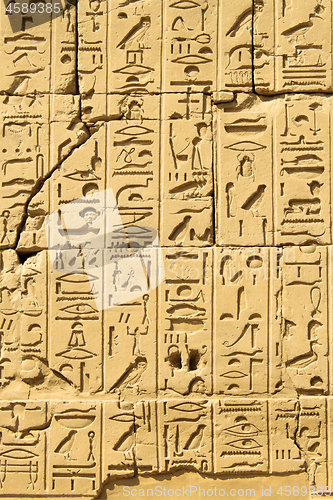 Image of Ancient egyptian hieroglyphs carved on the stone in the Karnak T
