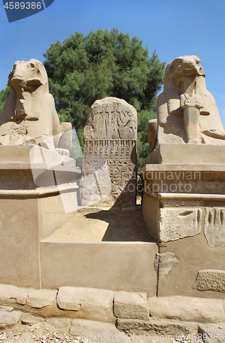 Image of Statue of Ram Headed Sphinx in Karnak Temple, Luxor, Egypt