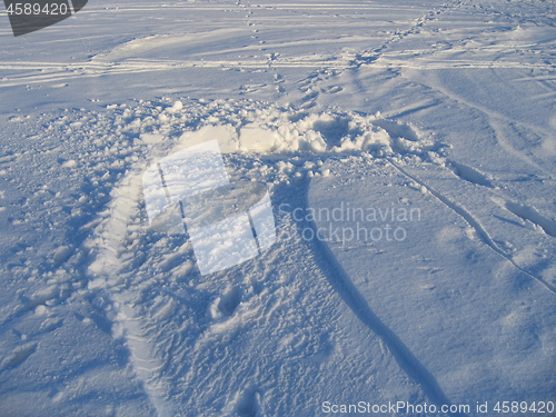 Image of Winter background with snow