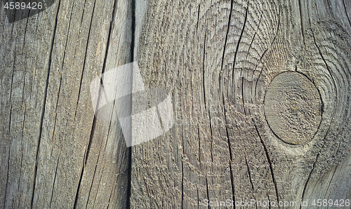 Image of Old weathered wooden texture with rings and cracks