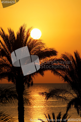 Image of Beautiful seascape with morning sun and palm trees