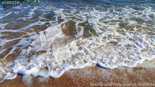 Image of Sea wave with white foam in the coastal sand