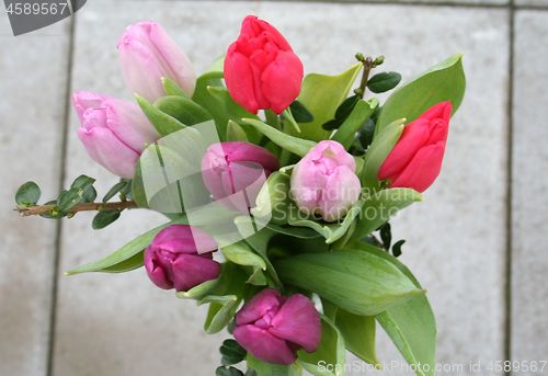 Image of Springtime flowers - bouquet of lovely Tulips
