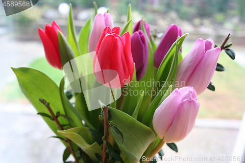 Image of Springtime flowers - bouquet of lovely Tulips