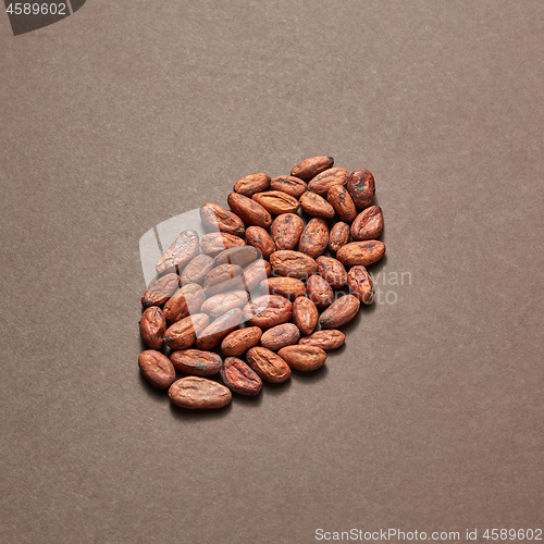 Image of Cocoa seeds in the shape of big cocoa bean.