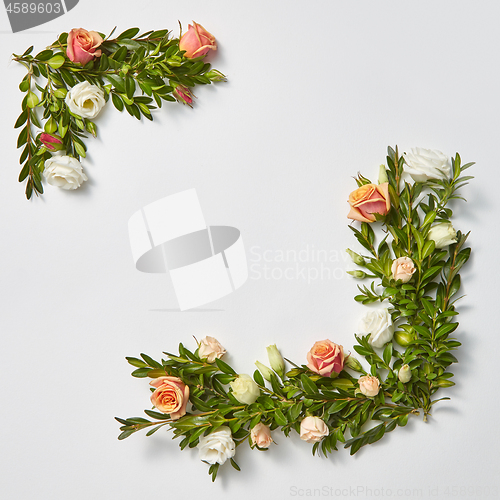 Image of Square greeting card with evergreen twigs and flowers.