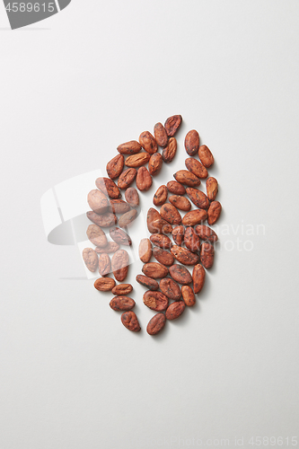 Image of Cocoa fresh natural peas in the shape of coffee bean.