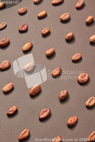 Image of Organic cocoa beans pattern on a brown background.