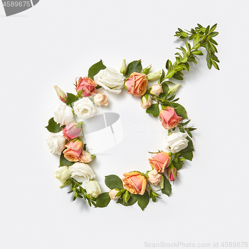 Image of Male sign made from flowers.