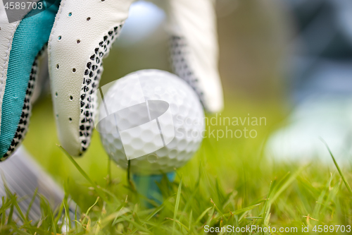 Image of Hand in glove placing golf ball on tee