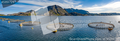 Image of Farm salmon fishing in Norway