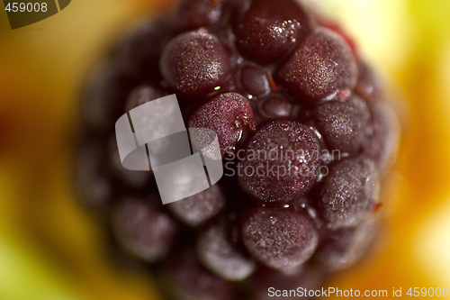 Image of close up photo of blueberry fruit salad