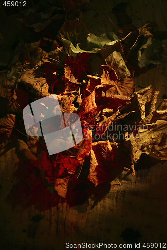 Image of background of dried leaves