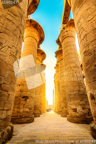 Image of Luxor Temple Ruins