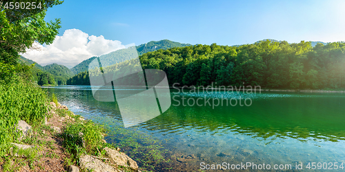 Image of National park Biogradska Gora