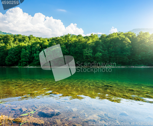 Image of Lake in the national park