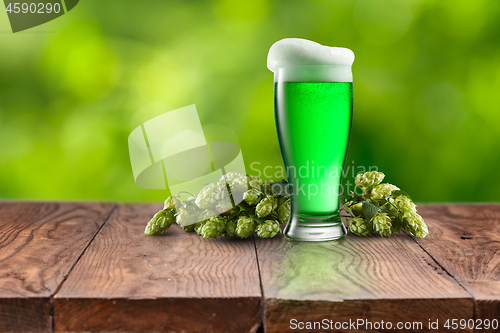 Image of Still life with glass of fresh green beer and hops.