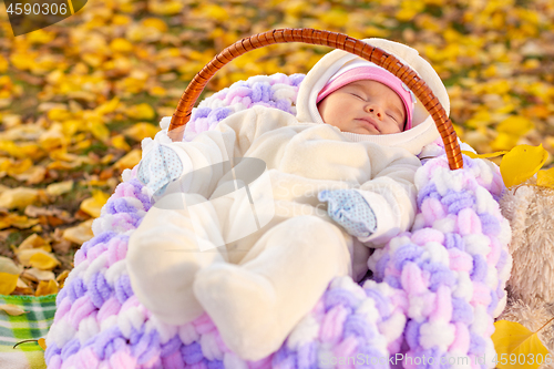 Image of Two-month-old baby sleeps serenely in basket amid yellow foliage park