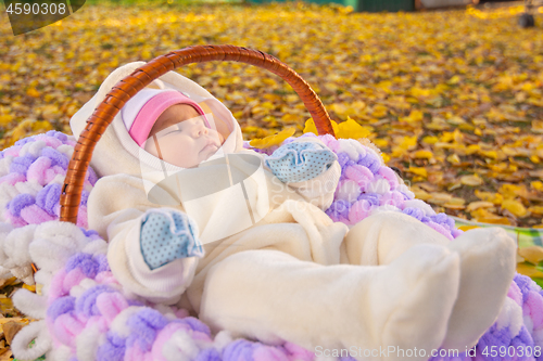 Image of Baby sleeps in basket in autumn park