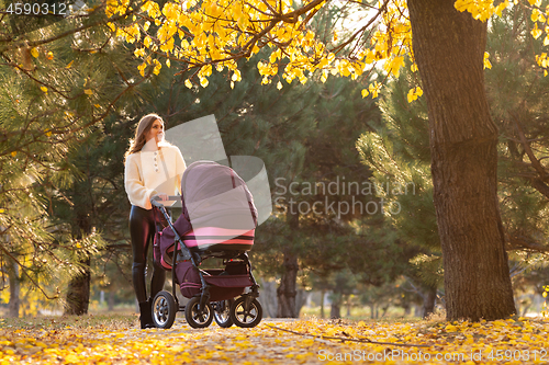 Image of Girl with a stroller with a newborn baby walks in a beautiful park