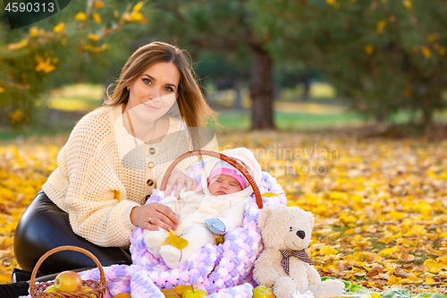 Image of Mom sits on a picnic with the baby in the basket