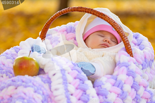 Image of Baby sleeps in basket in autumn park, next to it is an Apple