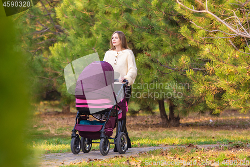 Image of Mom walks with newborn baby in autumn city park
