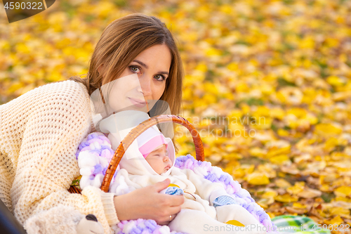 Image of Mom and baby sleeping in basket against the background of yellow fallen foliage in the park