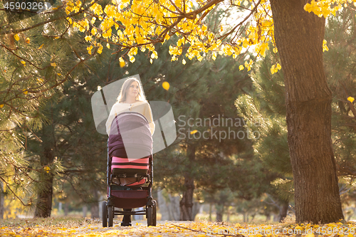Image of Young girl on a walk with a stroller