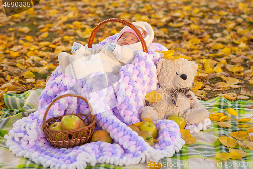 Image of An impromptu picnic for a two-month-old baby sleeping in a basket in a park