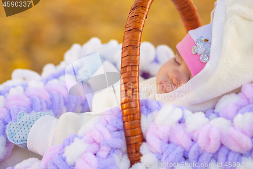 Image of Baby sleeps in basket in autumn park, close up