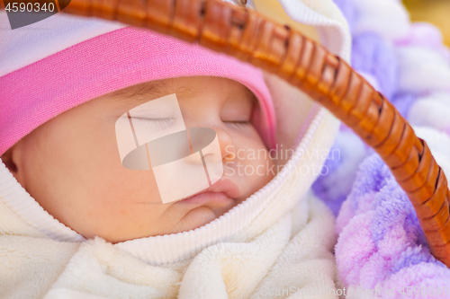 Image of Close-up of the face of a toddler sleeping in a basket on a walk