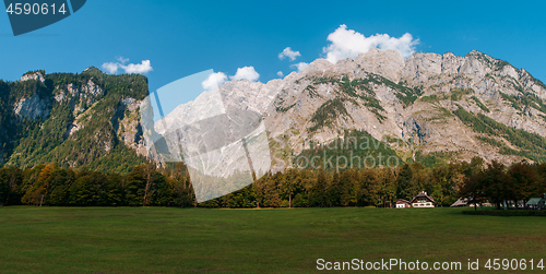 Image of Idyllic landscape in the Alps with fresh green meadows and blooming flowers and snowcapped mountain tops in the background