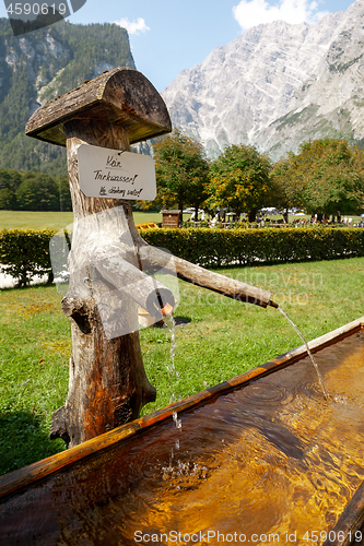 Image of wooden water supply and Alps with fresh green meadows and blooming flowers and snowcapped mountain tops in the background