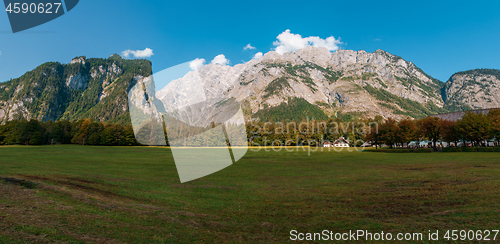 Image of Idyllic landscape in the Alps with fresh green meadows and blooming flowers and snowcapped mountain tops in the background