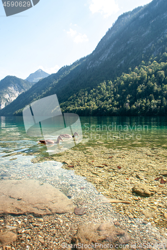 Image of Stunning deep green waters of Konigssee, known as Germany deepest and cleanest lake