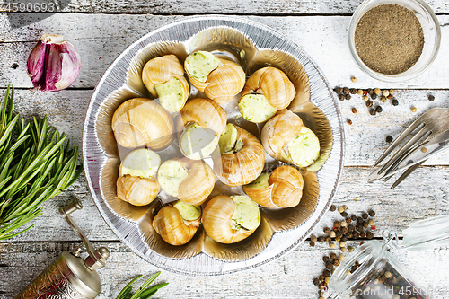 Image of snails
