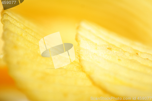 Image of crinkly cut potato chips