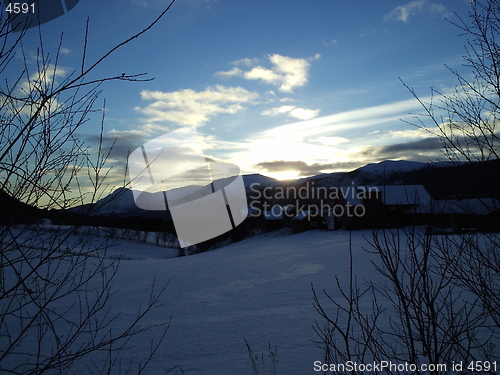 Image of Winter Landscape