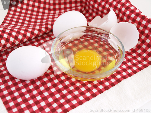 Image of Egg Preparation