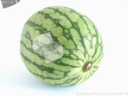 Image of Isolated Watermelon