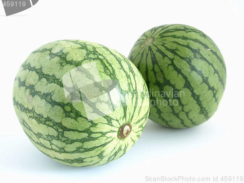 Image of Twin Melons