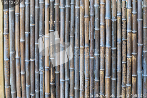 Image of Bamboo Background