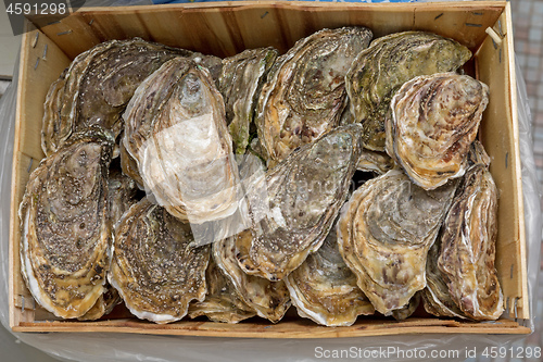 Image of Oysters in Wood Crate