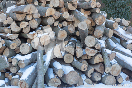 Image of Firewood