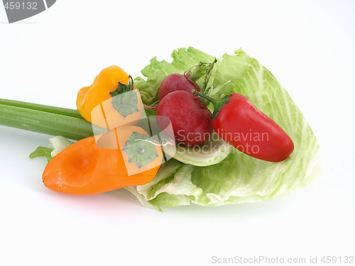 Image of Healthy Food Choices