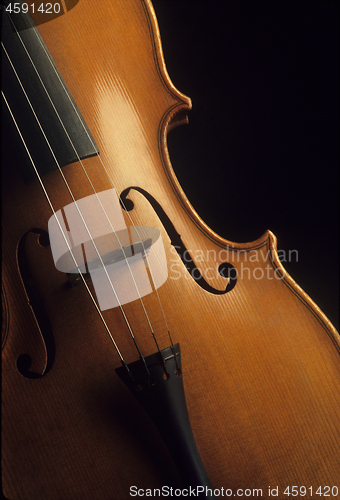 Image of Close-up of a wooden violin