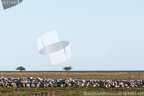 Image of Great plain grassland with trees and a dry stone wall