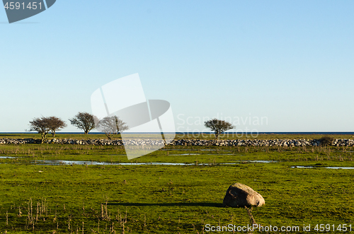 Image of Great plain grassland on the island Oland in the Baltic Sea