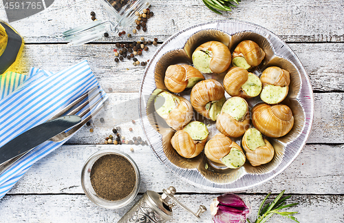 Image of snails